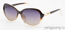 Polarized 9005 C2