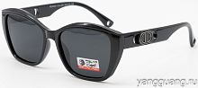 Polar Eagle 09589 C3
