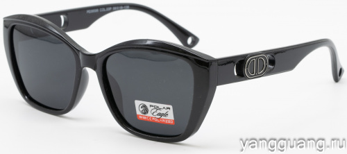 Polar Eagle 09589 C3
