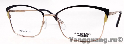 AMSHAR 8783 C4 54-17-140