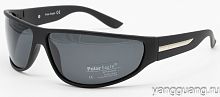 Polar Eagle 8201 C3