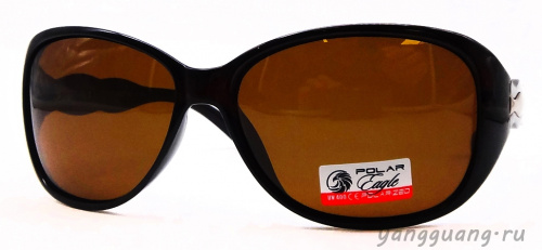 Polar Eagle 09548 C2 - «ЕКБ ОПТИКА» Polar Eagle 09548 C2