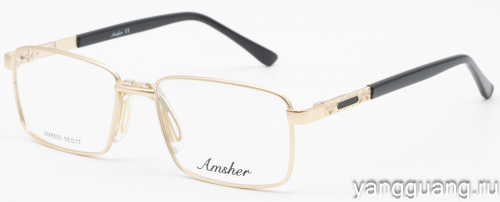 AMSHAR 8950 C5 55-17-143