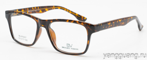 Bright Vision 0007 C6 51-17-142