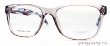 CHARM 665 C1 54-17-145