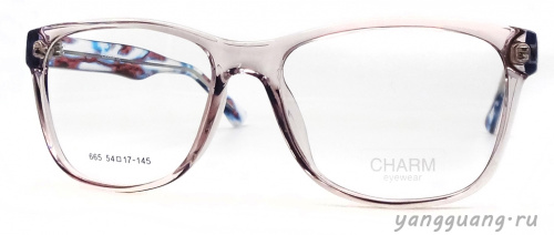 CHARM 665 C1 54-17-145