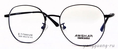 AMSHAR 2829 C1 49-18-143