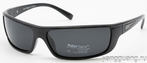 Polar Eagle 8251 C1