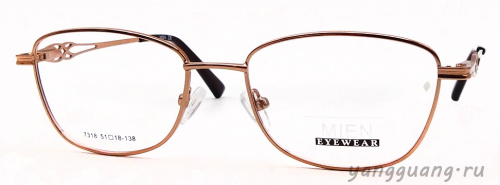 MIEN 7318 C100 51-18-138