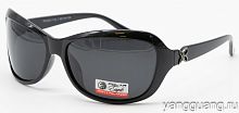 Polar Eagle 09550 C1