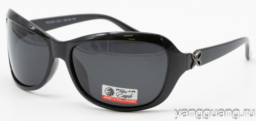 Polar Eagle 09550 C1