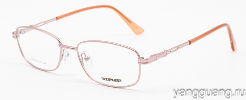 MIEN 2106 C39 53-17-140