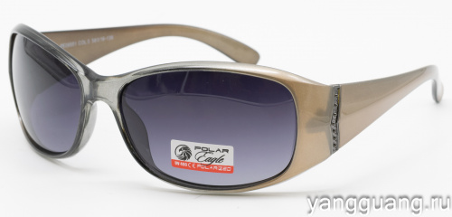 Polar Eagle 09551 C5