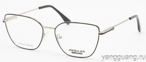 AMSHAR 8937 C6 55-16-140