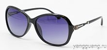 Polarized 8256 C1