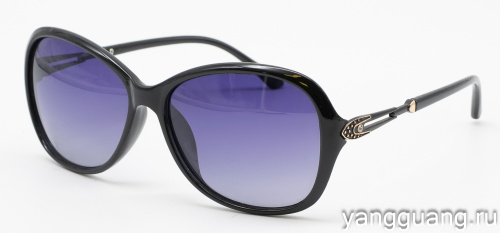 Polarized 8256 C1
