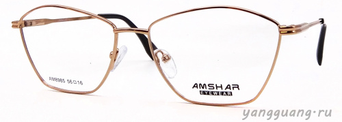 AMSHAR 8985 C4 56-16-140