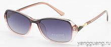 Polarized 6073 C3