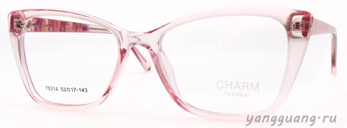 CHARM 7531A C2 53-17-143