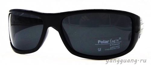 Polar Eagle 8208 C1