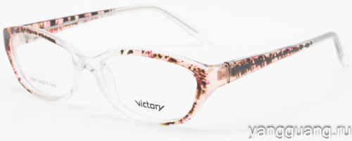 Victory 2885 B05 54-17-140