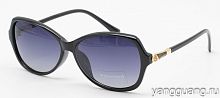 Polarized 8261 C1