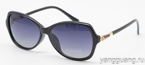 Polarized 8261 C1