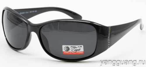 Polar Eagle 09551 C1