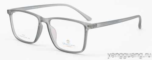 ViBrant Vision 0006 C6 51-15-143