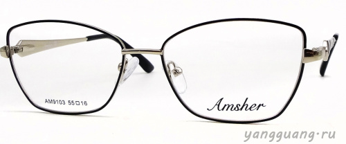 AMSHAR 9103 C6 55-16-140