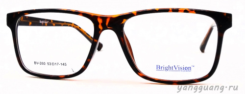 Bright Vision 260 C4 53-17-145