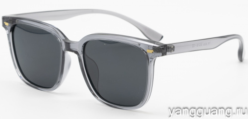 Polarized TR-90 5038 C4