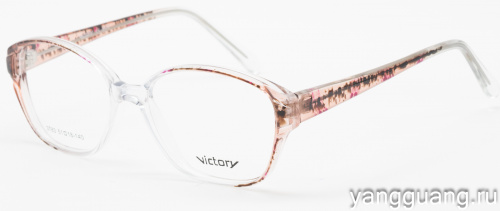 Victory 3783 B05 51-18-135