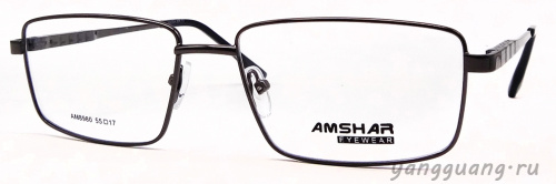 AMSHAR 8980 C3 55-17-145