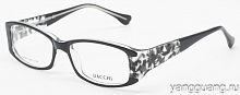 DACCHI 24569 C797 54-17-138