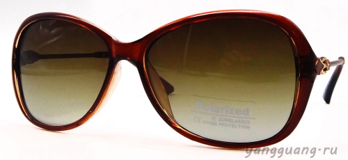 Polarized 8281 C2