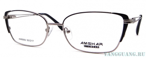 AMSHAR 8906 C6 55-17-140