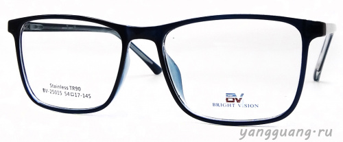 Bright Vision 25015 C8 54-17-145