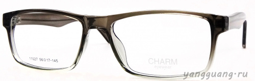 CHARM 11027 C3 56-17-145