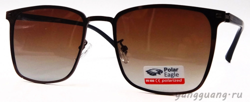 Polar Eagle 8742 C2