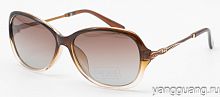Polarized 6071 C2