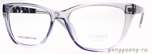 CHARM 7530A C1 53-17-143