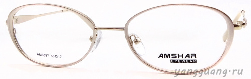 AMSHAR 8897 C1 53-17-140