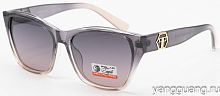 Polar Eagle 09497 C5