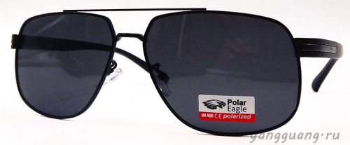 Polar Eagle 8732 C1