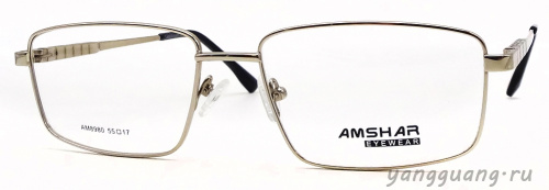 AMSHAR 8980 C2 55-17-145