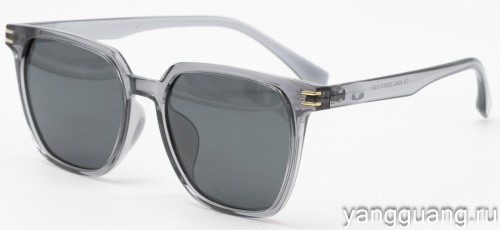 Polarized TR-90 6043 C4