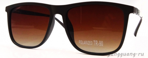 Polarized TR-90 3065 C2