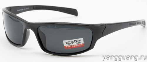 Polar Eagle 8241 C1