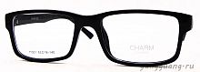 CHARM 11031 C1 53-18-140